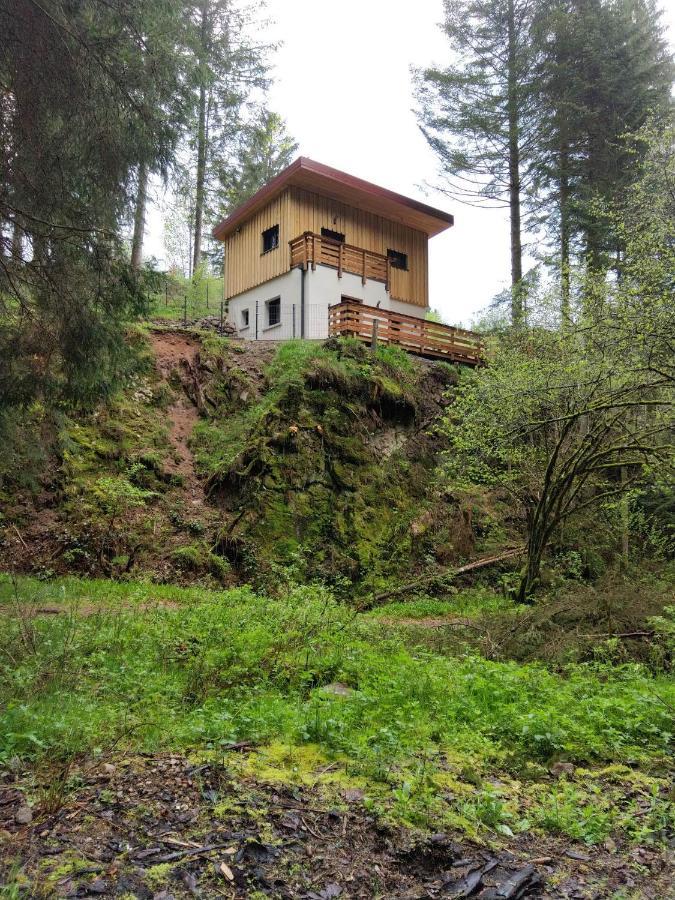 Le Refuge Perche Du Saut De La Bourrique Spa, Terrain Cloture Gerardmer Ngoại thất bức ảnh