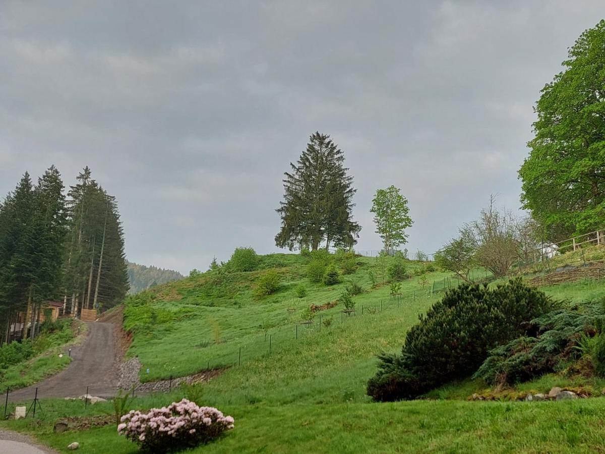 Le Refuge Perche Du Saut De La Bourrique Spa, Terrain Cloture Gerardmer Ngoại thất bức ảnh
